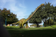 Amusement Park Remote Control Giant Animatronic Dinosaur For Green Park