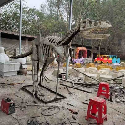 কেনা আউটডোর / ইনডোর লাইফ সাইজ ডাইনোসর স্কাল রেপ্লিকা , ডাইনোসর ফসিল রেপ্লিকাস online manufacture