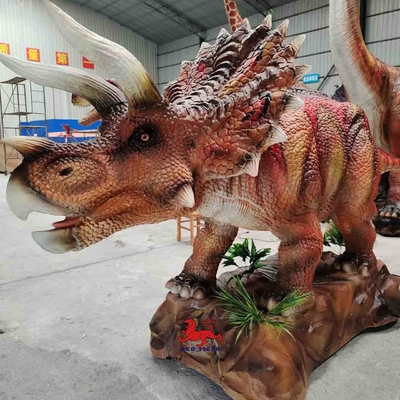নাম