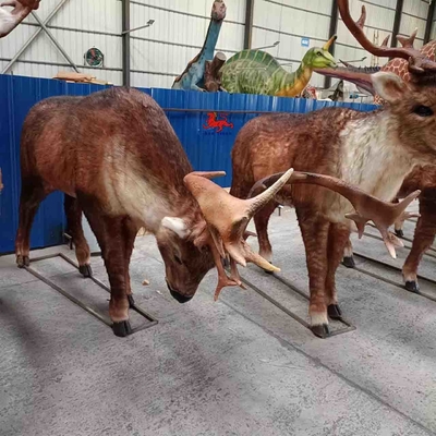 নাম