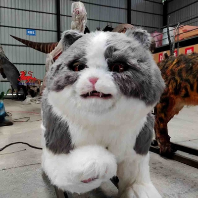 নাম