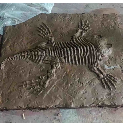 নাম