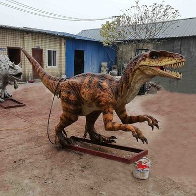 নাম
