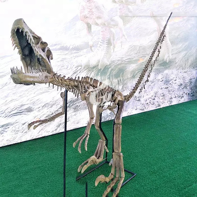 নাম