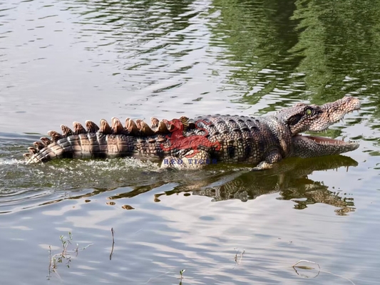 নাম