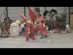 রেড ফ্লাই ড্রাগনের পোশাক