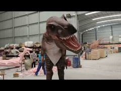 ব্যক্তিগতকরণ বাস্তবসম্মত ডাইনোসর পোশাক কার্চারোডন্টোসরাস মডেল